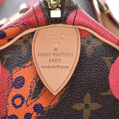 Louis Vuitton Monogram Ramages Speedy 30 Grenade 6 of 11