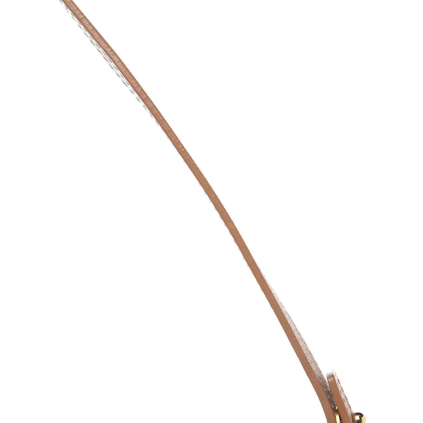 Monogram Mini Saddle Pochette Green