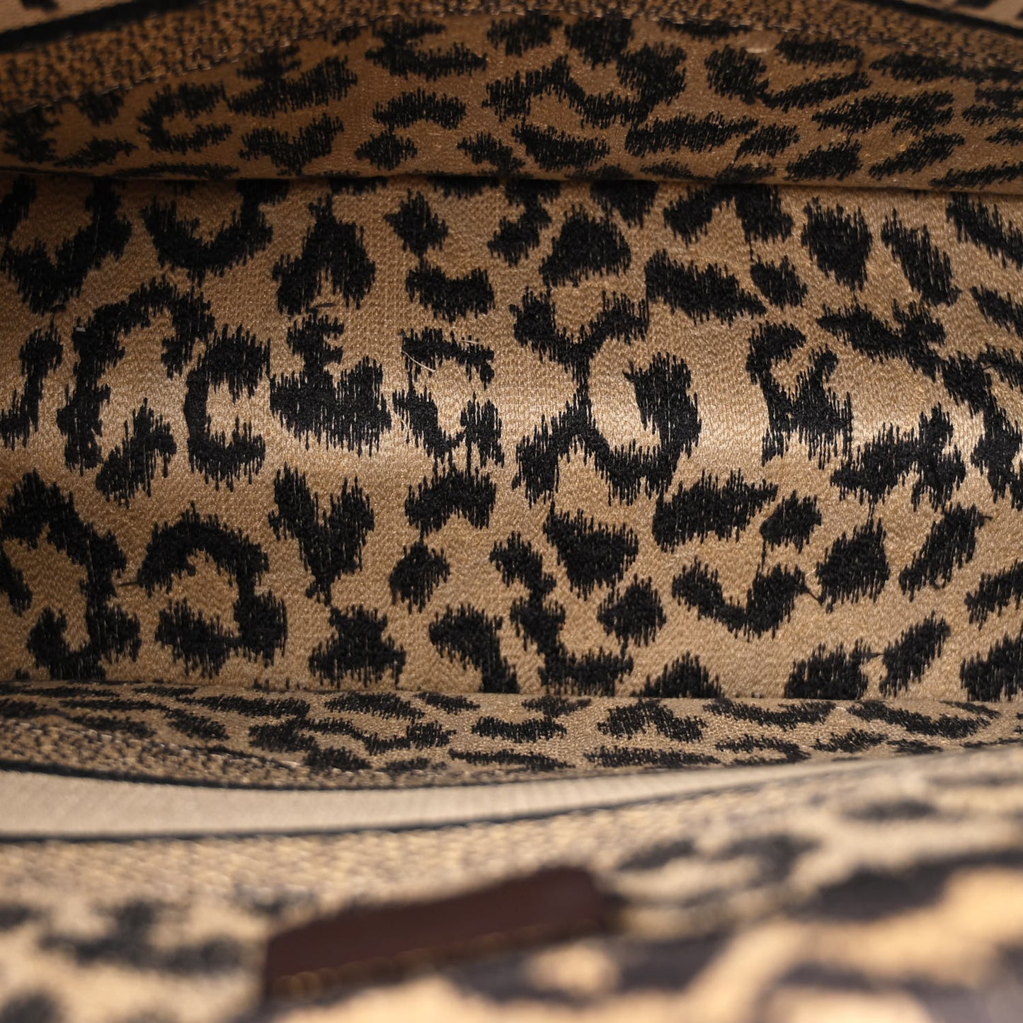 Canvas Mizza Embroidered Medium Leopard Book Tote Beige