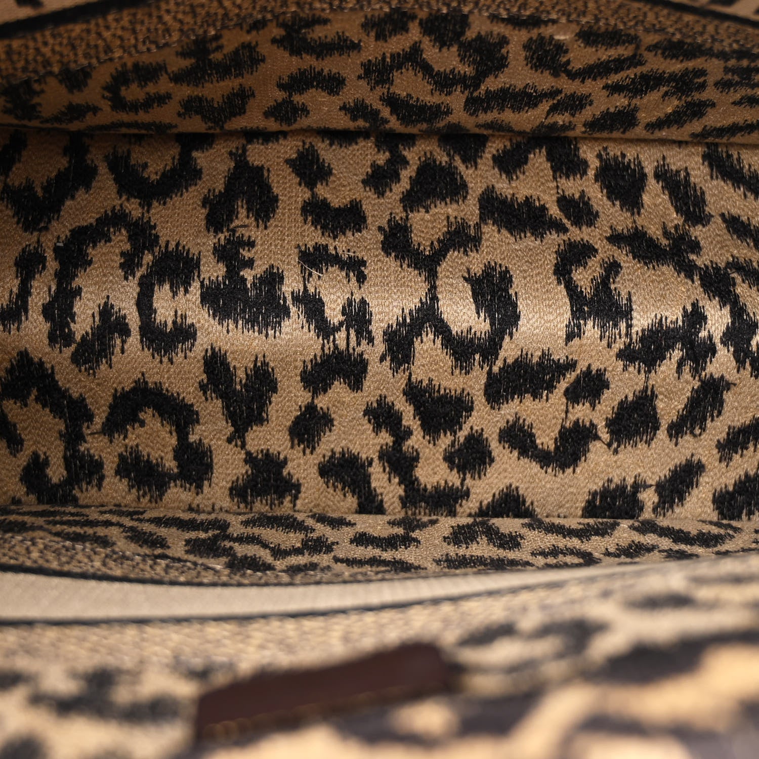 Christian Dior Canvas Mizza Embroidered Medium Leopard Book Tote Beige 5 of 12