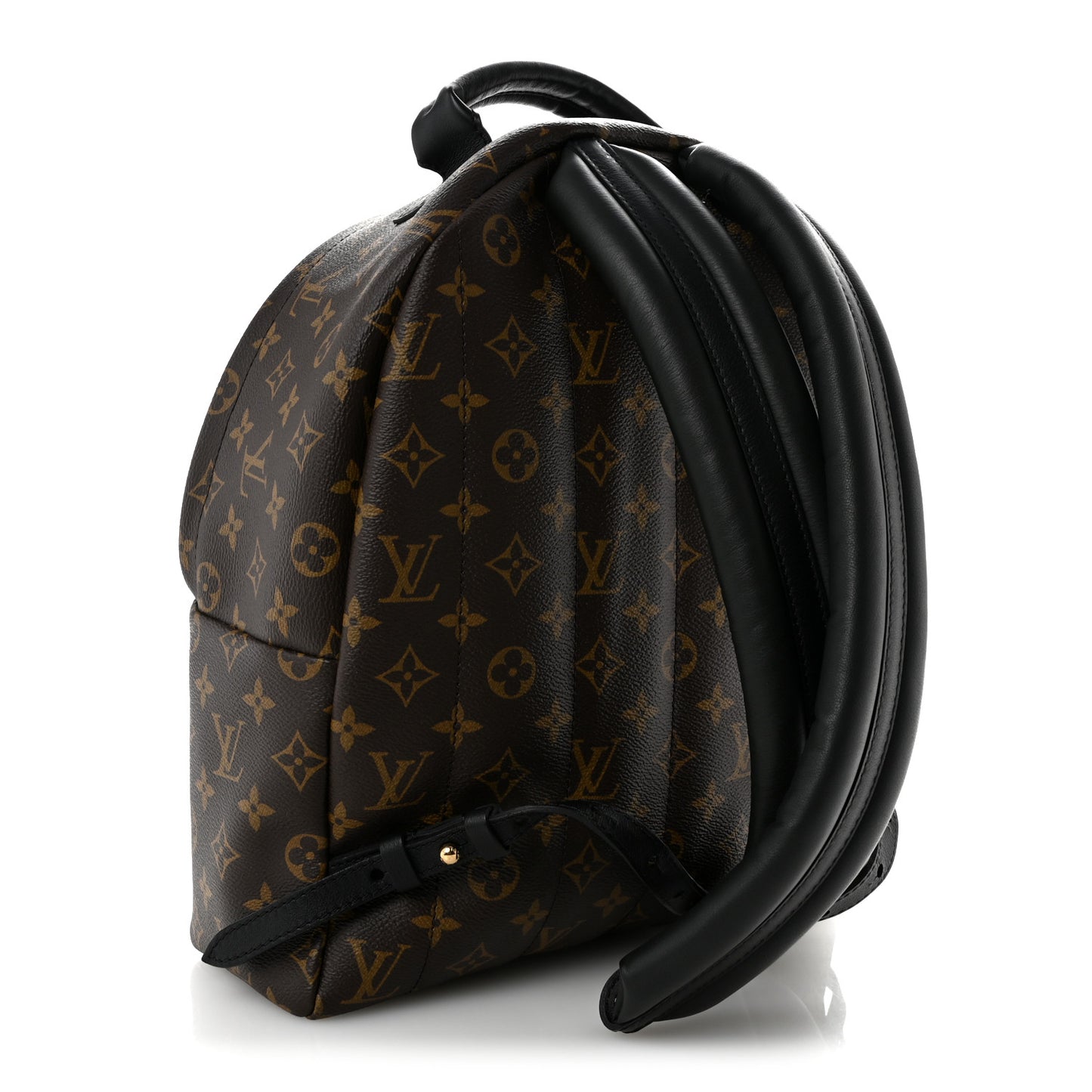 Monogram Palm Springs Backpack MM