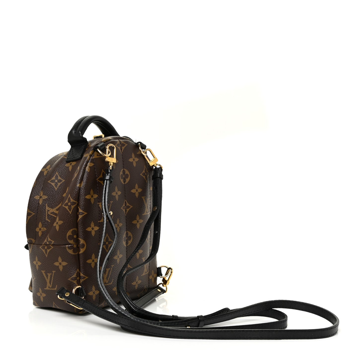 Monogram Palm Springs Backpack Mini