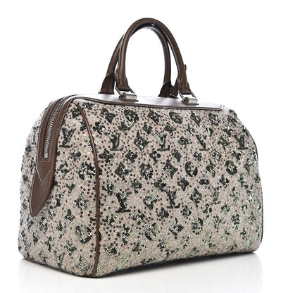 Louis Vuitton Sequin Monogram Sunshine Express Speedy Kaki 3 of 14