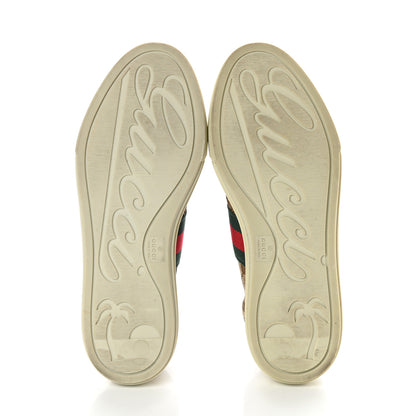 Gucci GG Monogram Web Womens Sneakers 36 Brown 5 of 9