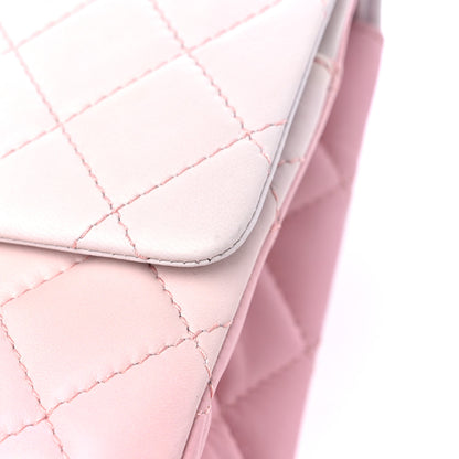 Chanel Lambskin Degrade Quilted 2.55 Reissue 227 Flap Pink 10 of 11
