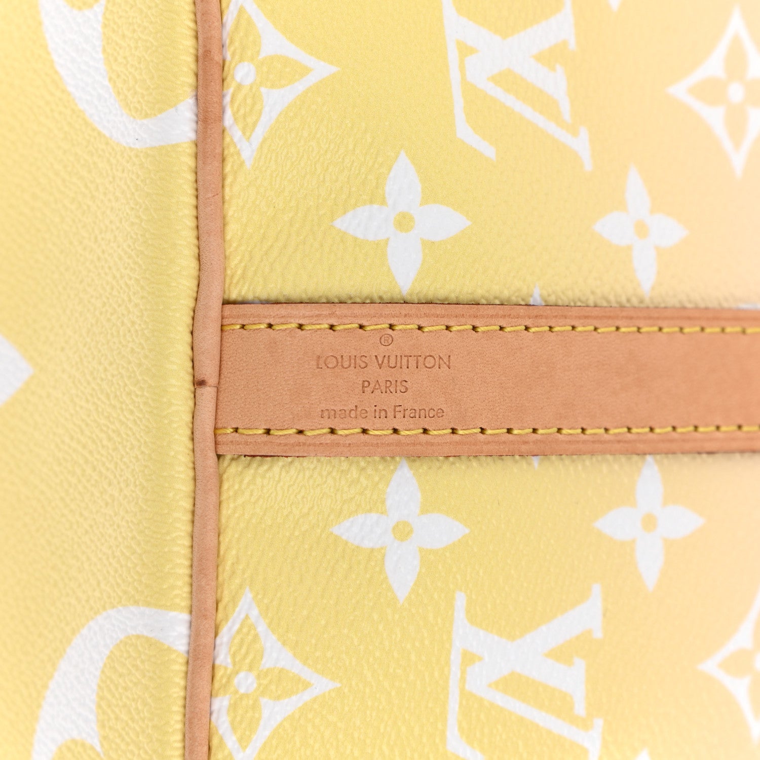 Louis Vuitton Monogram Giant By The Pool Speedy Bandouliere 25 Light Pink 7 of 12