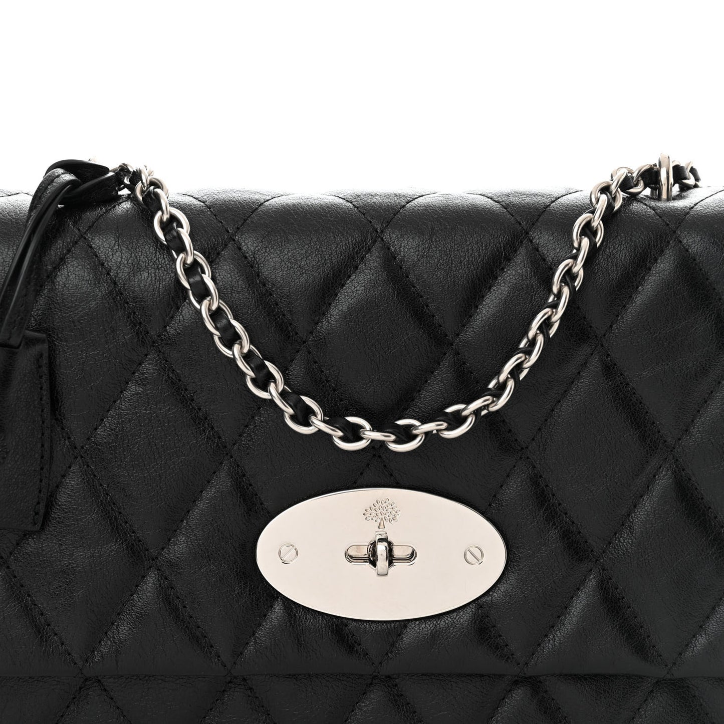 Shiny Buffalo Medium Lily Flap Black