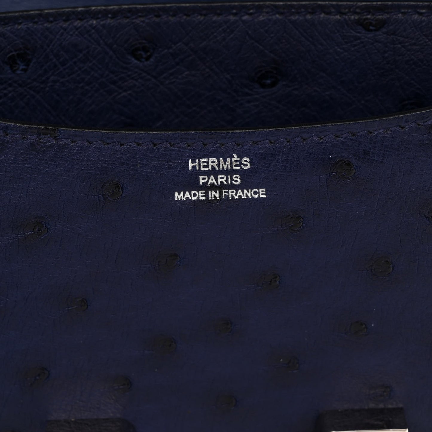 Ostrich Constance 18 Bleu Iris