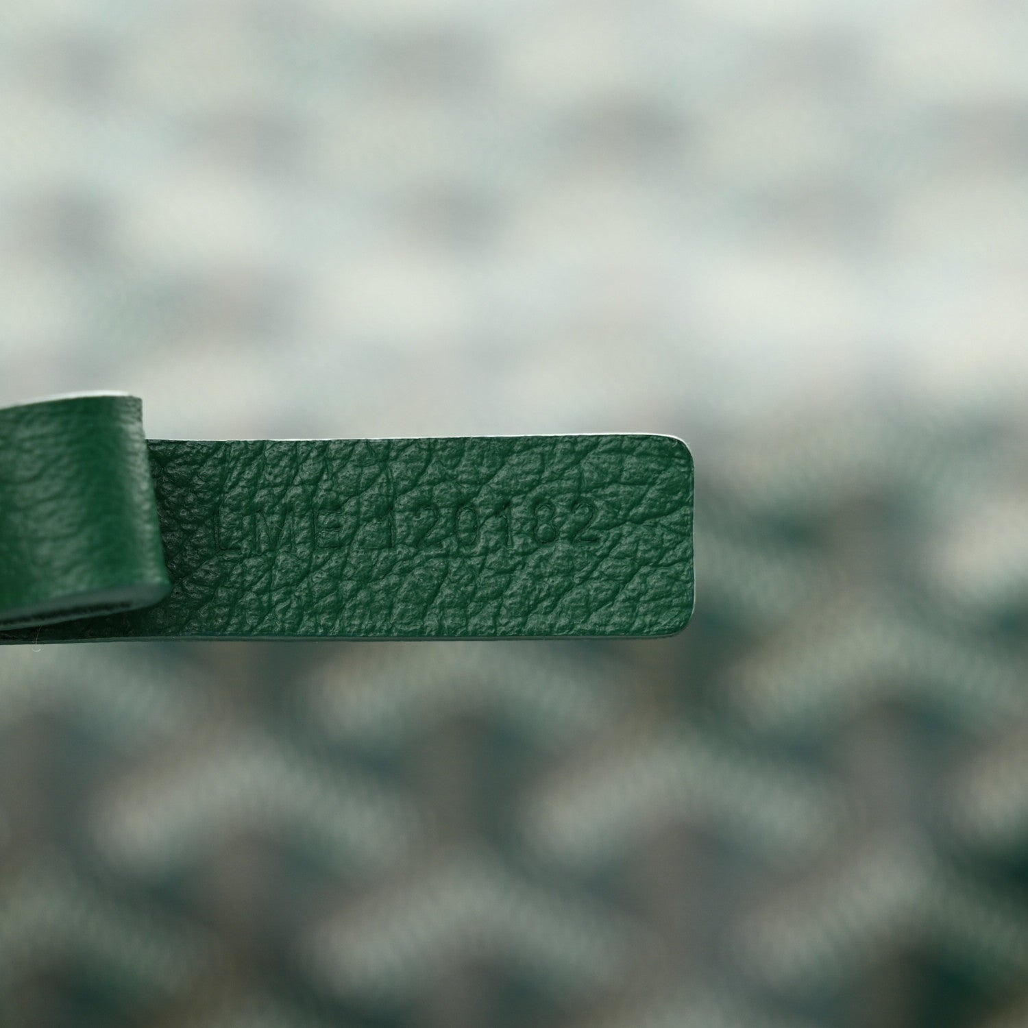 Goyard Goyardine Saint Louis GM Green 7 of 16