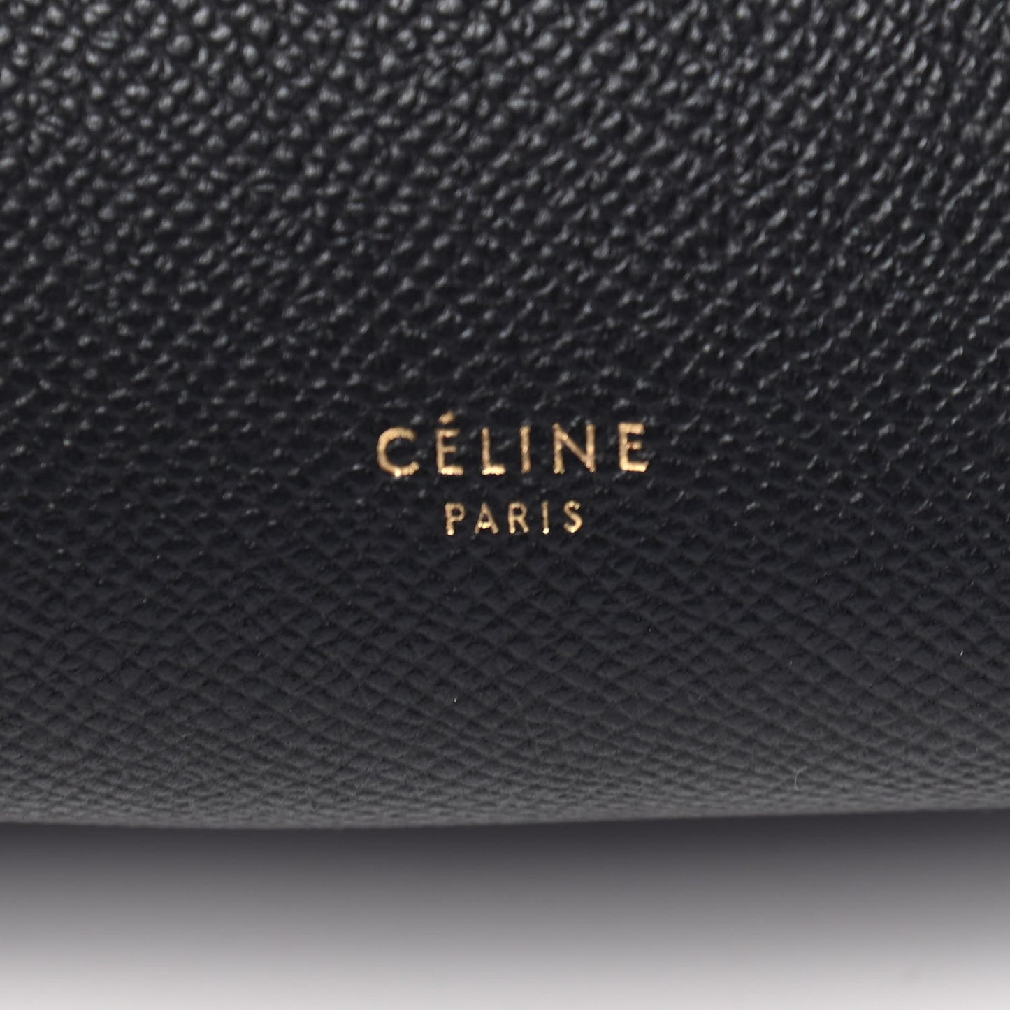 Grained Calfskin Nano Belt Bag Black