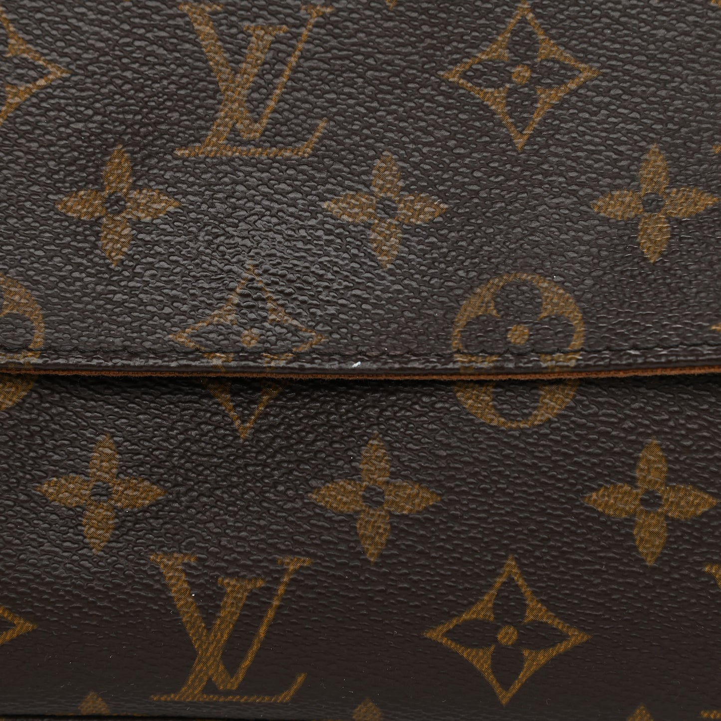 Monogram Mini Looping
