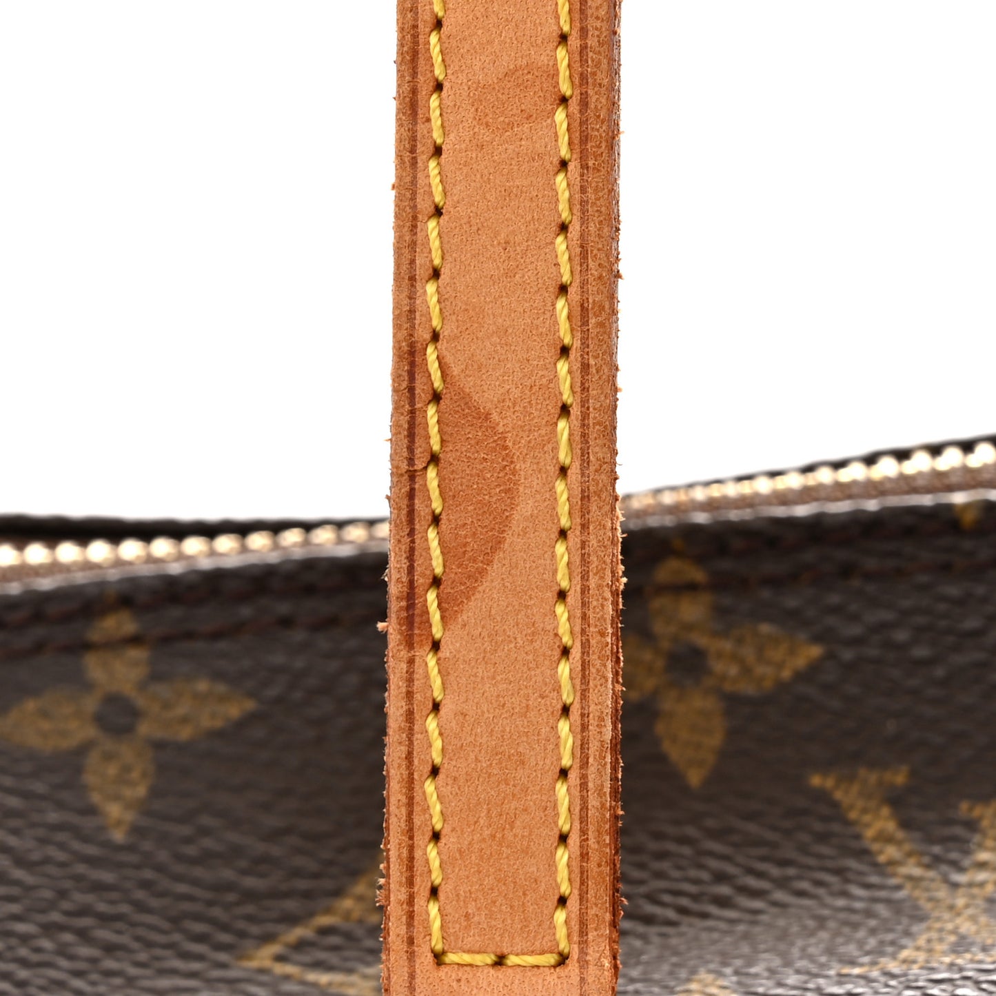 Monogram Papillon 30 with Companion