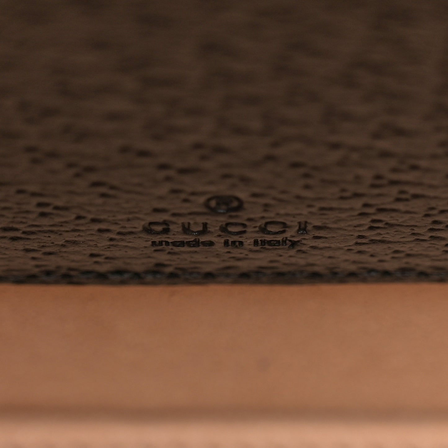 Dollar Calfskin Vertical Horsebit 1955 Crossbody Bag Black