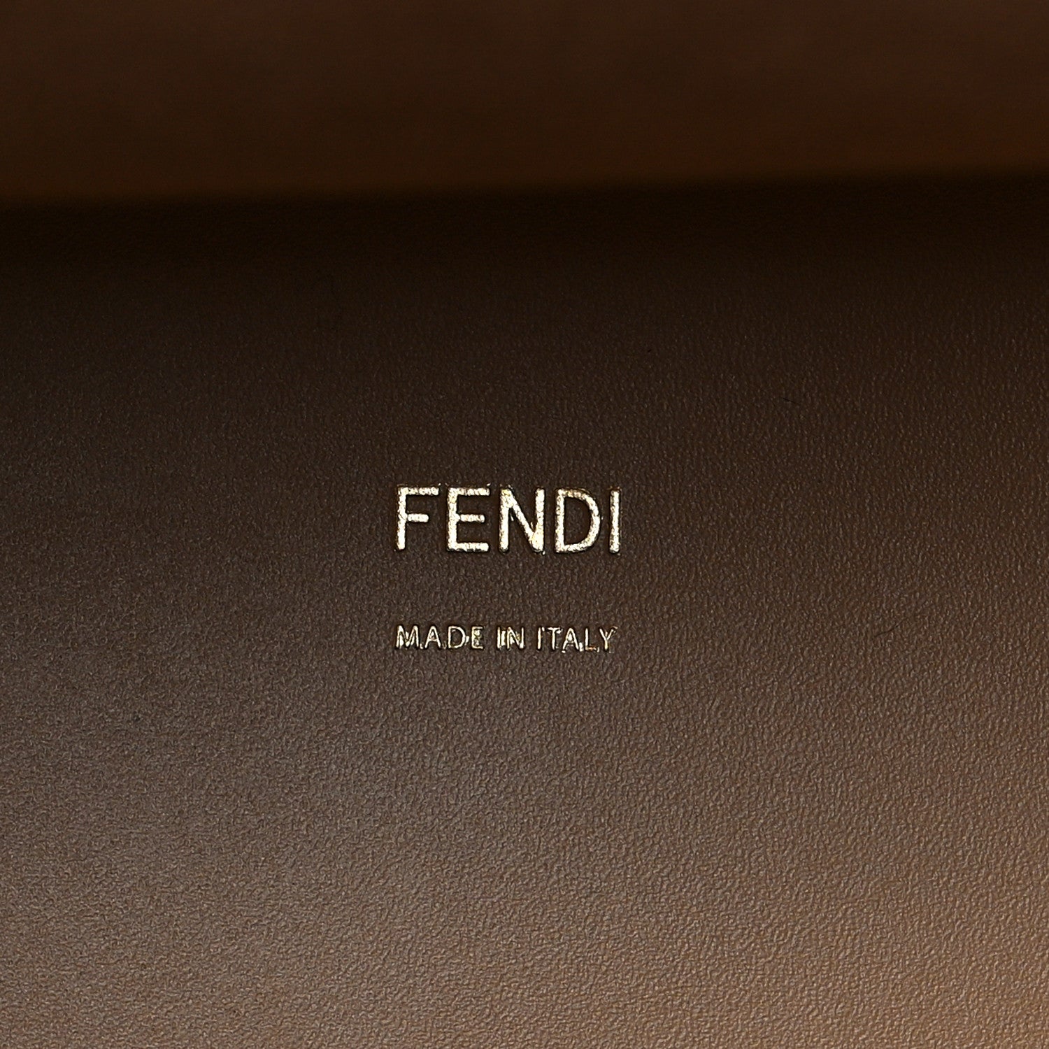 Fendi Vitello King Plexiglass Elaphe Python Print Logo Medium Fendi Sunshine Shopper Tote Miele Scuro Makeup 6 of 7