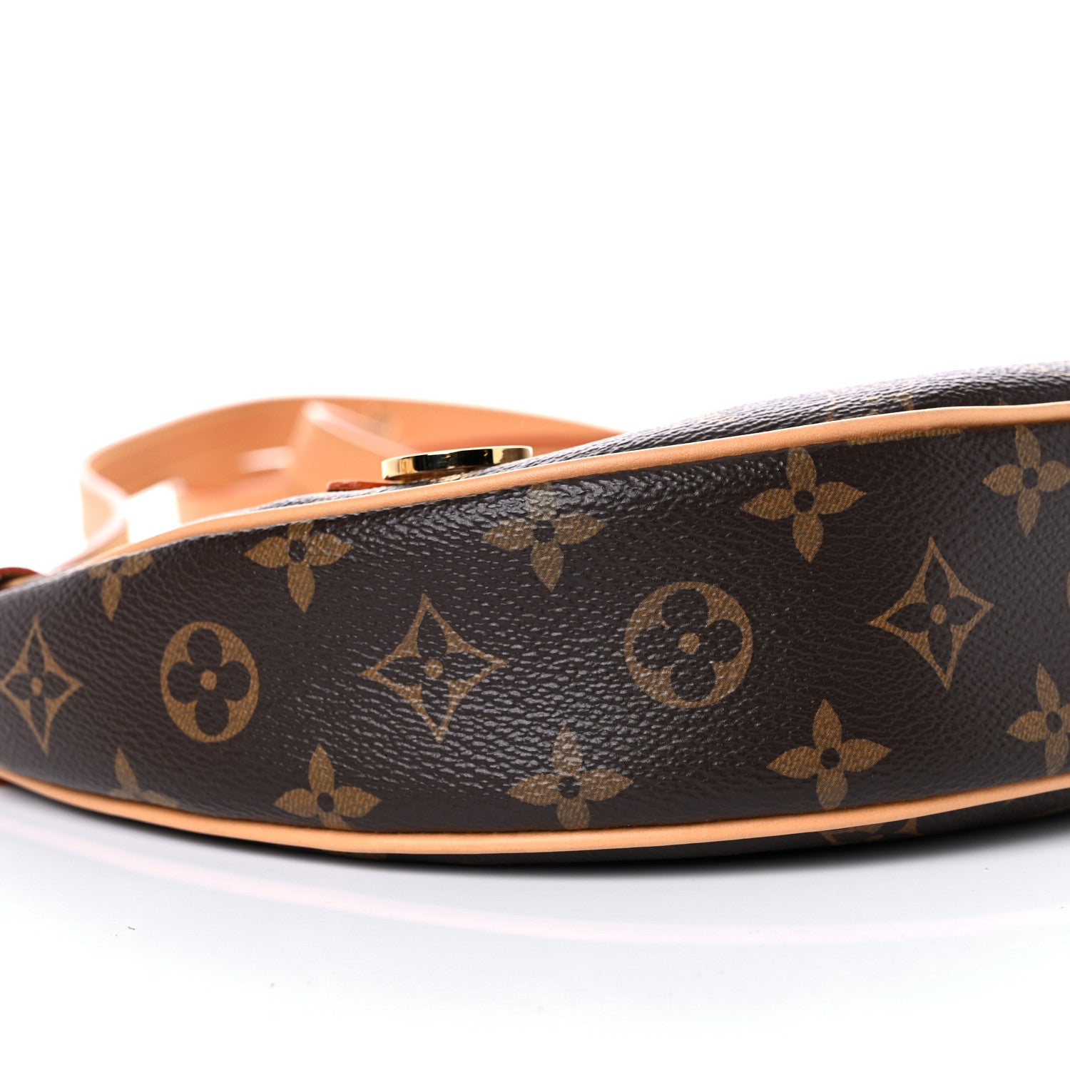 Louis Vuitton Monogram Loop 7 of 14