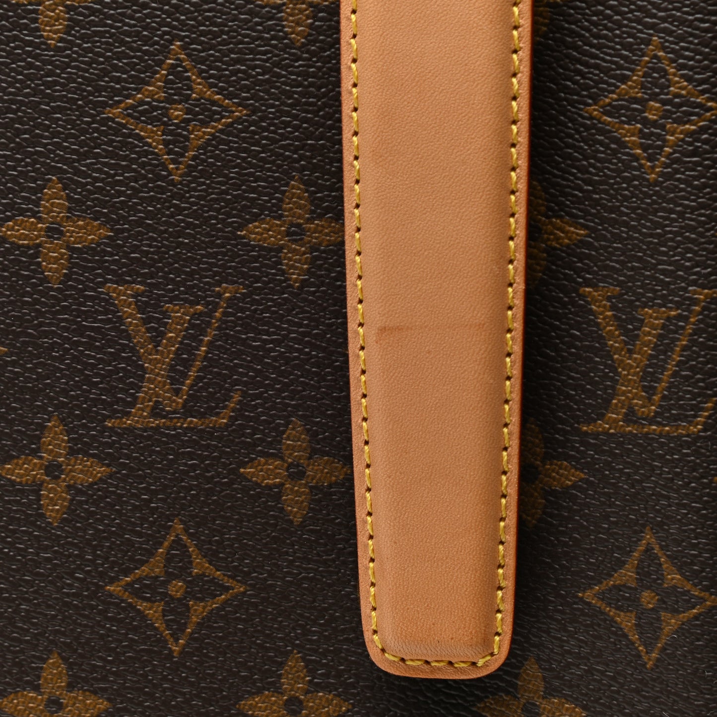Monogram Pegase Legere Business 55