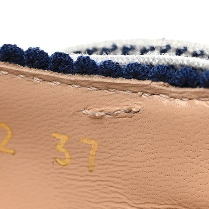 Christian Dior Toile de Jouy Ribbon Embroidered Jardin d'Hiver J'Adior Slingback 65mm Pumps 37 White Blue 9 of 11