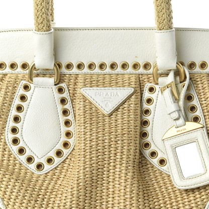 Prada Paglia Vitello Daino Frame Satchel Naturale White 9 of 13