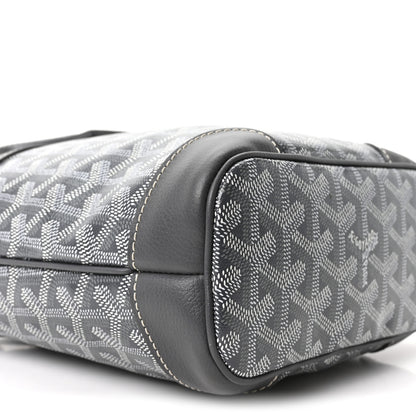 Goyard Goyardine Beluga Mini Grey 9 of 10