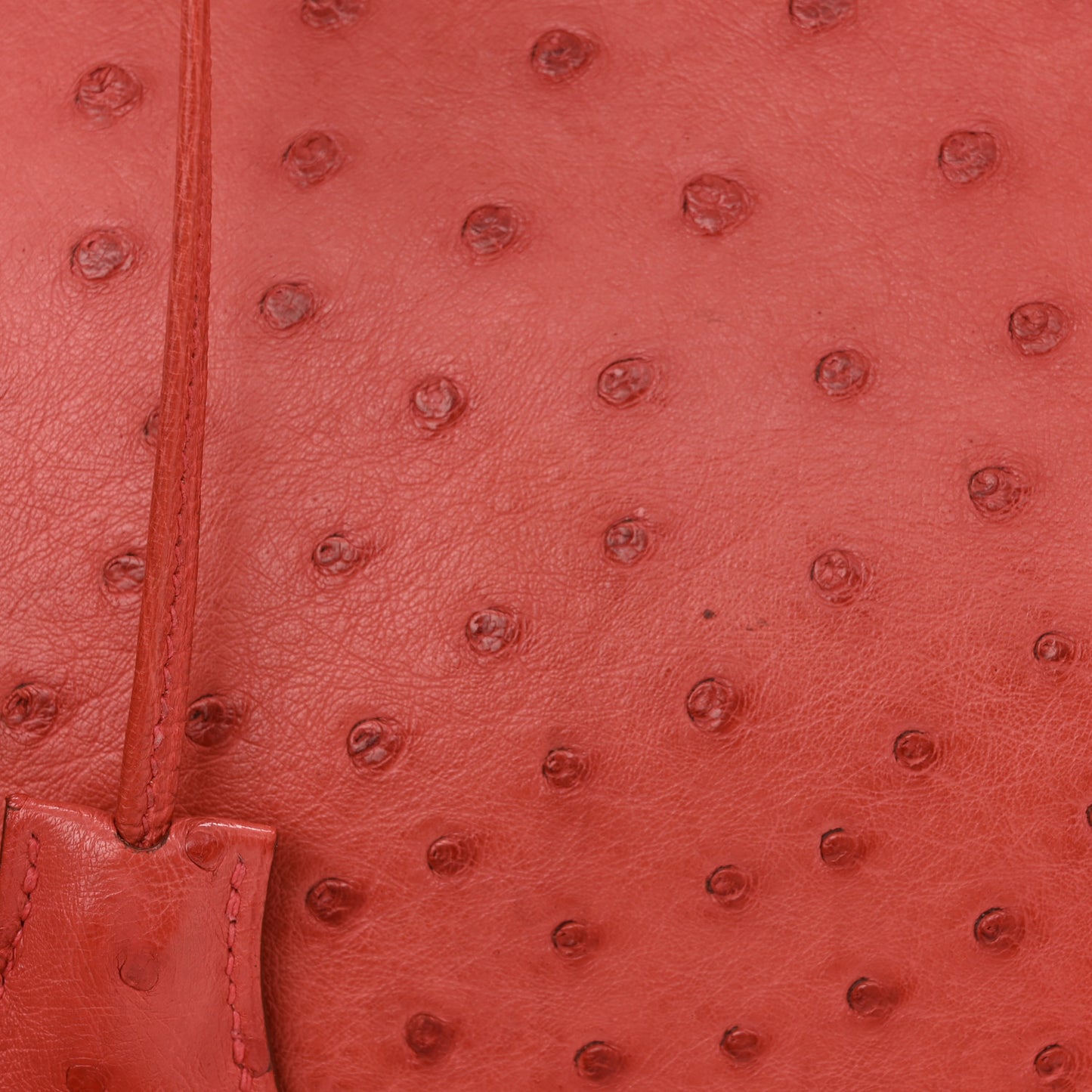Ostrich Birkin 30 Bougainvillea