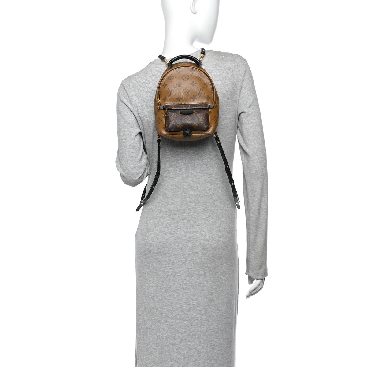 Reverse Monogram Palm Springs Backpack Mini