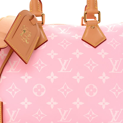 Louis Vuitton Calfskin Monogram Speedy P9 Bandouliere 30 Candy 8 of 10
