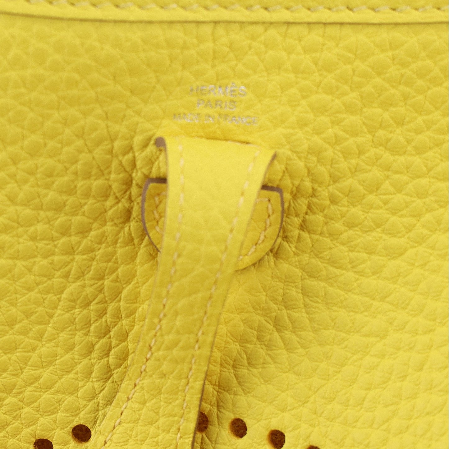 Taurillon Clemence Evelyne TPM Limoncello