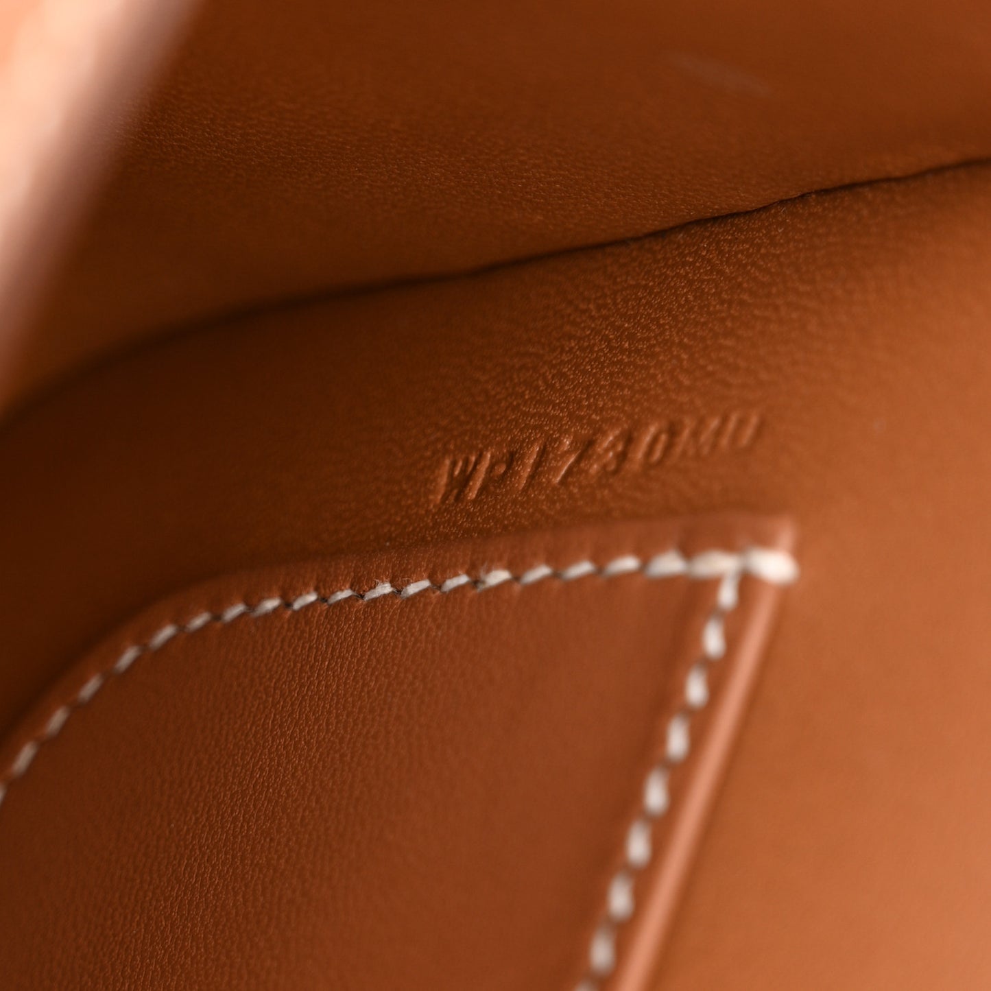 Epsom Della Cavalleria Elan Gold