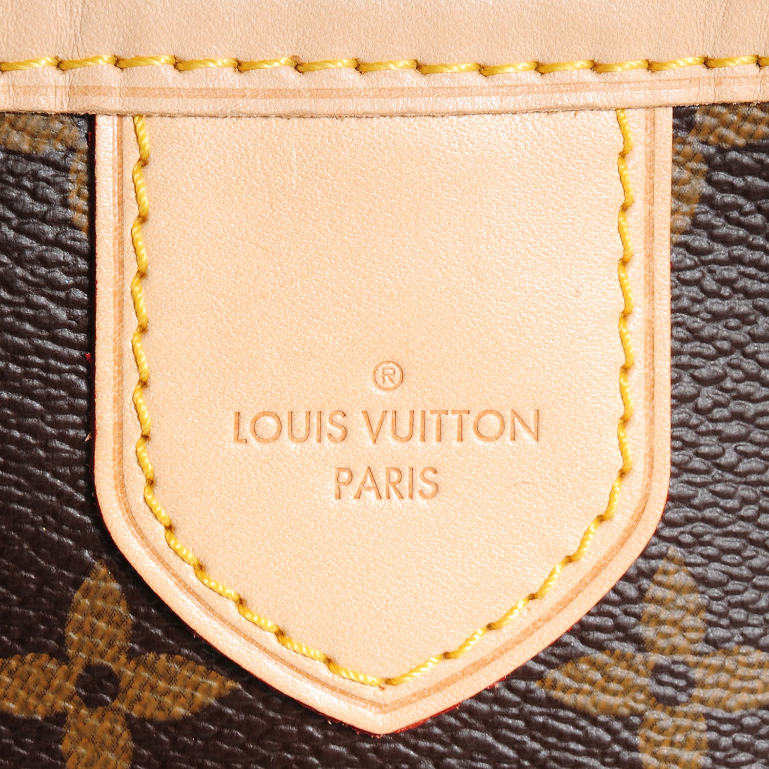 Louis Vuitton Monogram Delightful PM 6 of 9