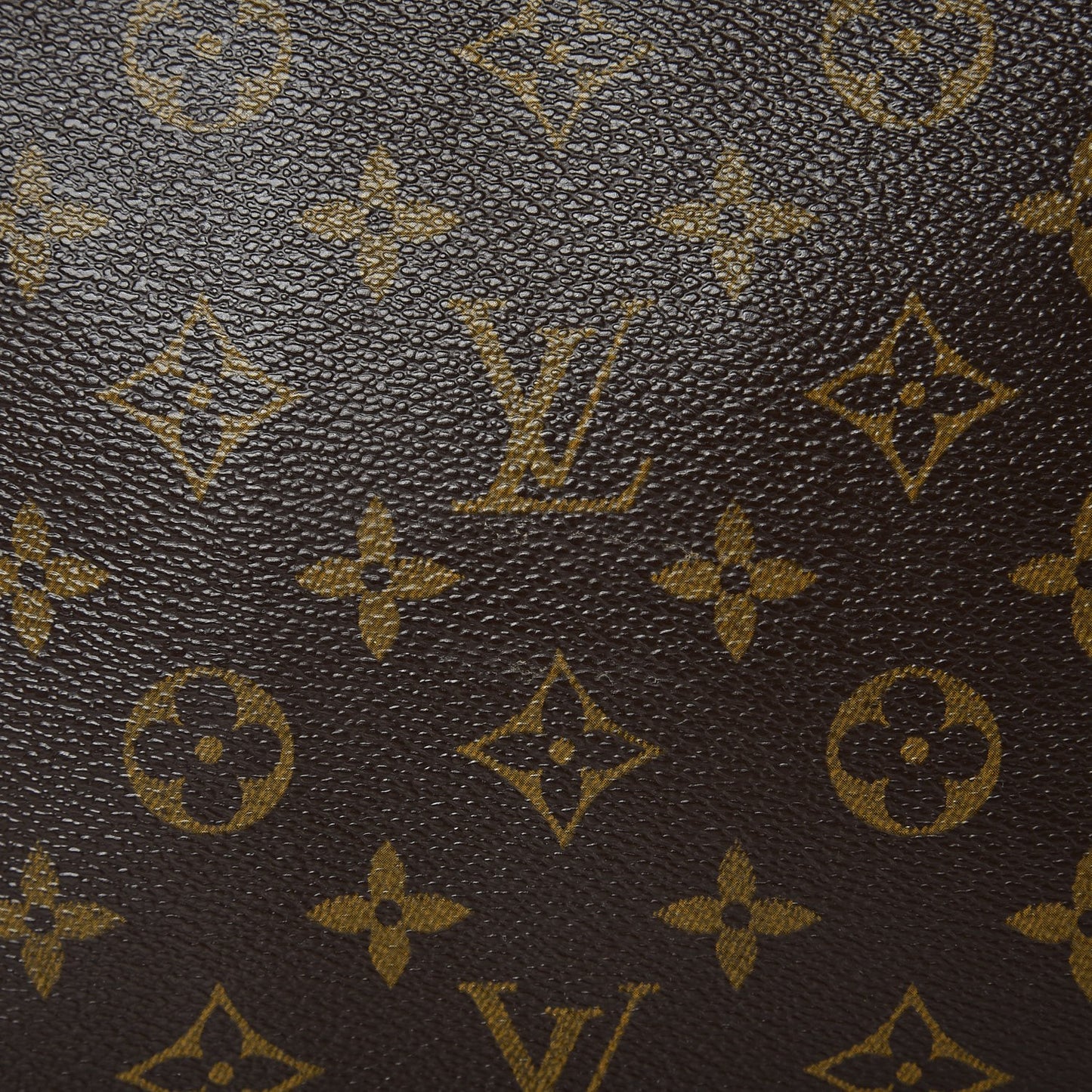 Monogram Looping MM