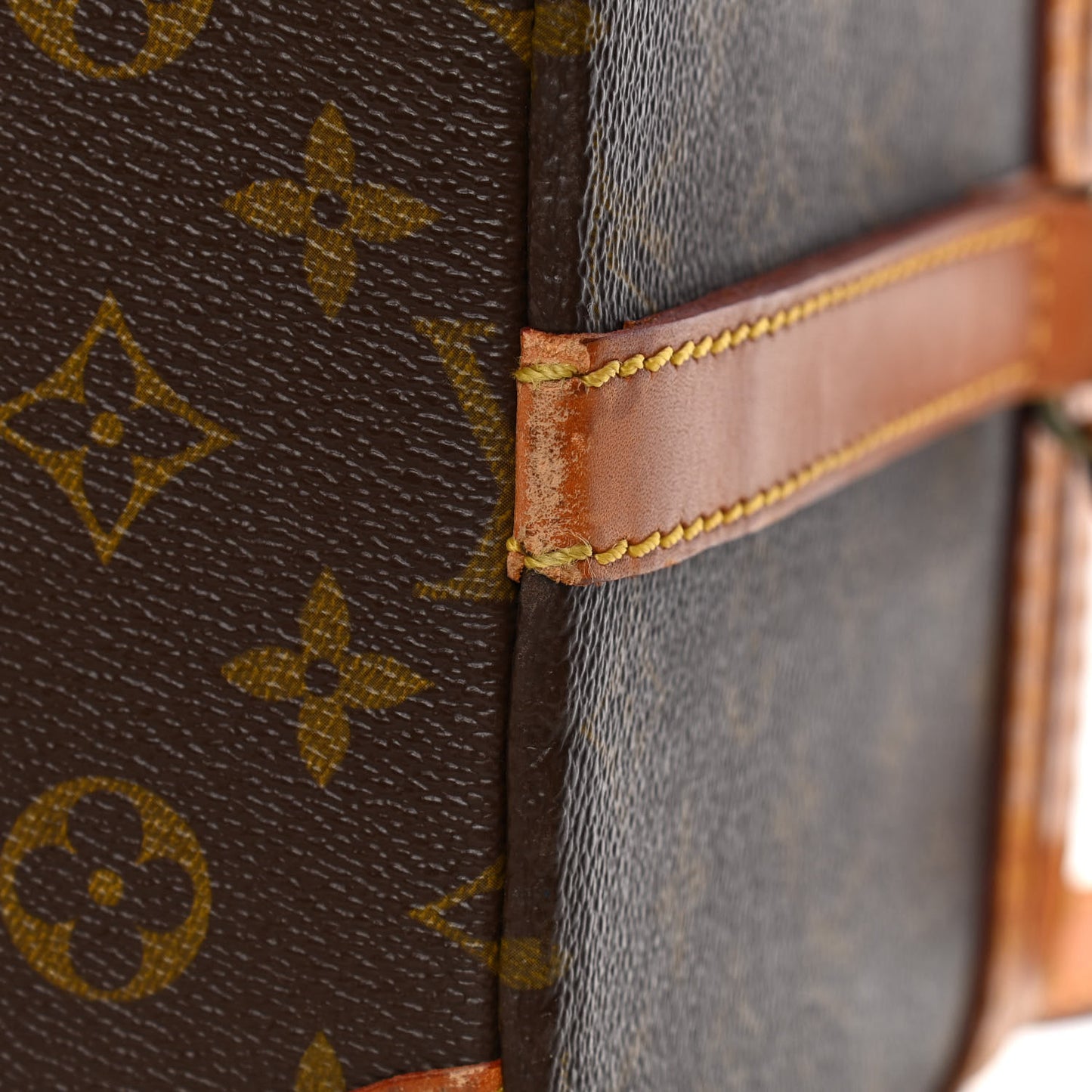 Monogram Train Case