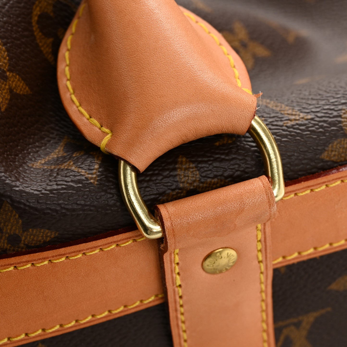 Monogram Dog Carrier 40