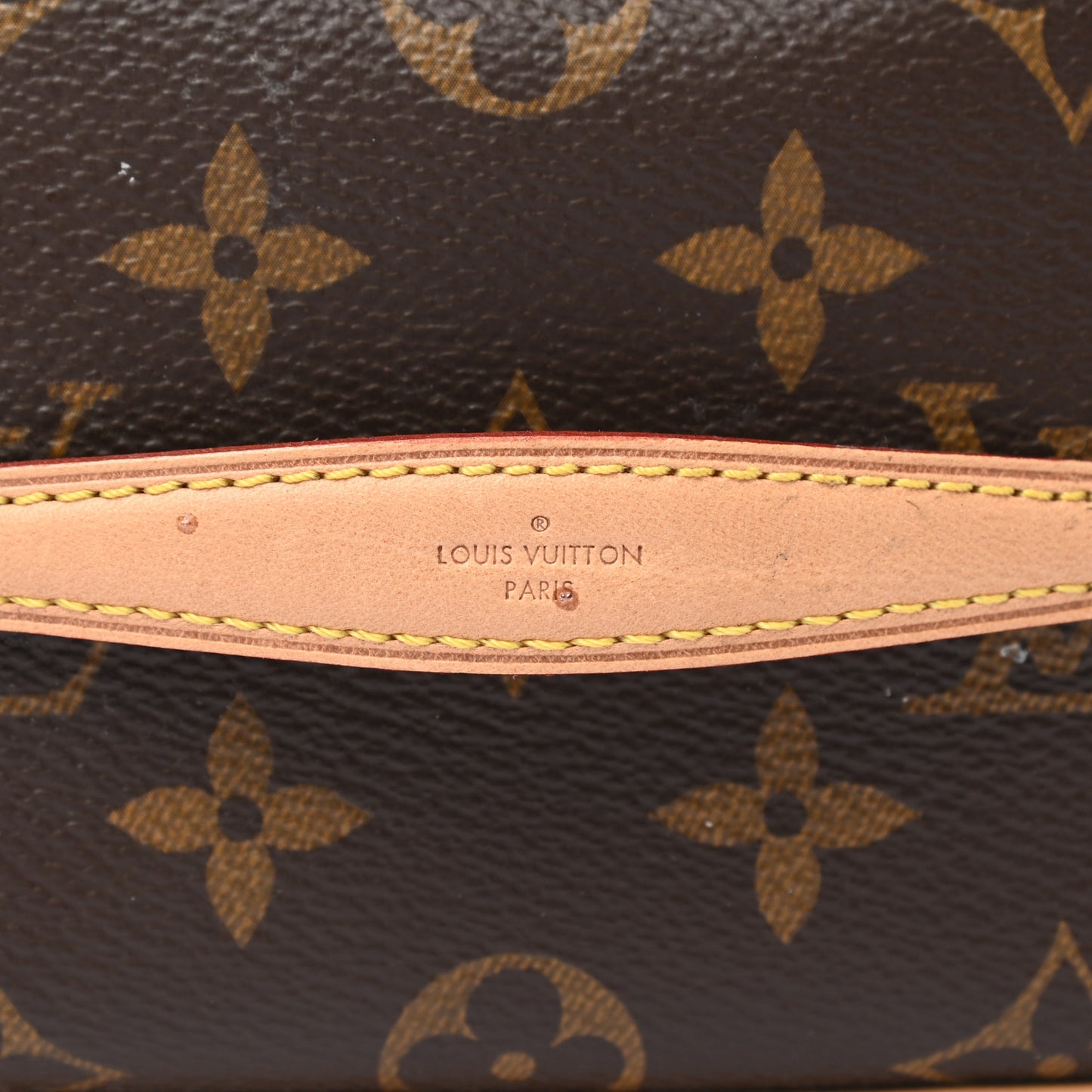 Monogram Nano Nice