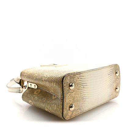Louis Vuitton Lizard Ombre Capucines Mini Natural 4 of 9
