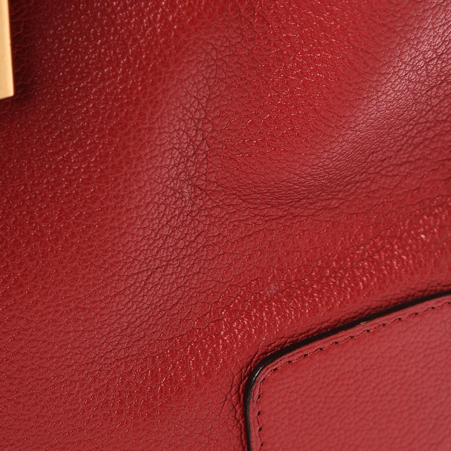 Loewe Goatskin Amazona Red 14 of 15