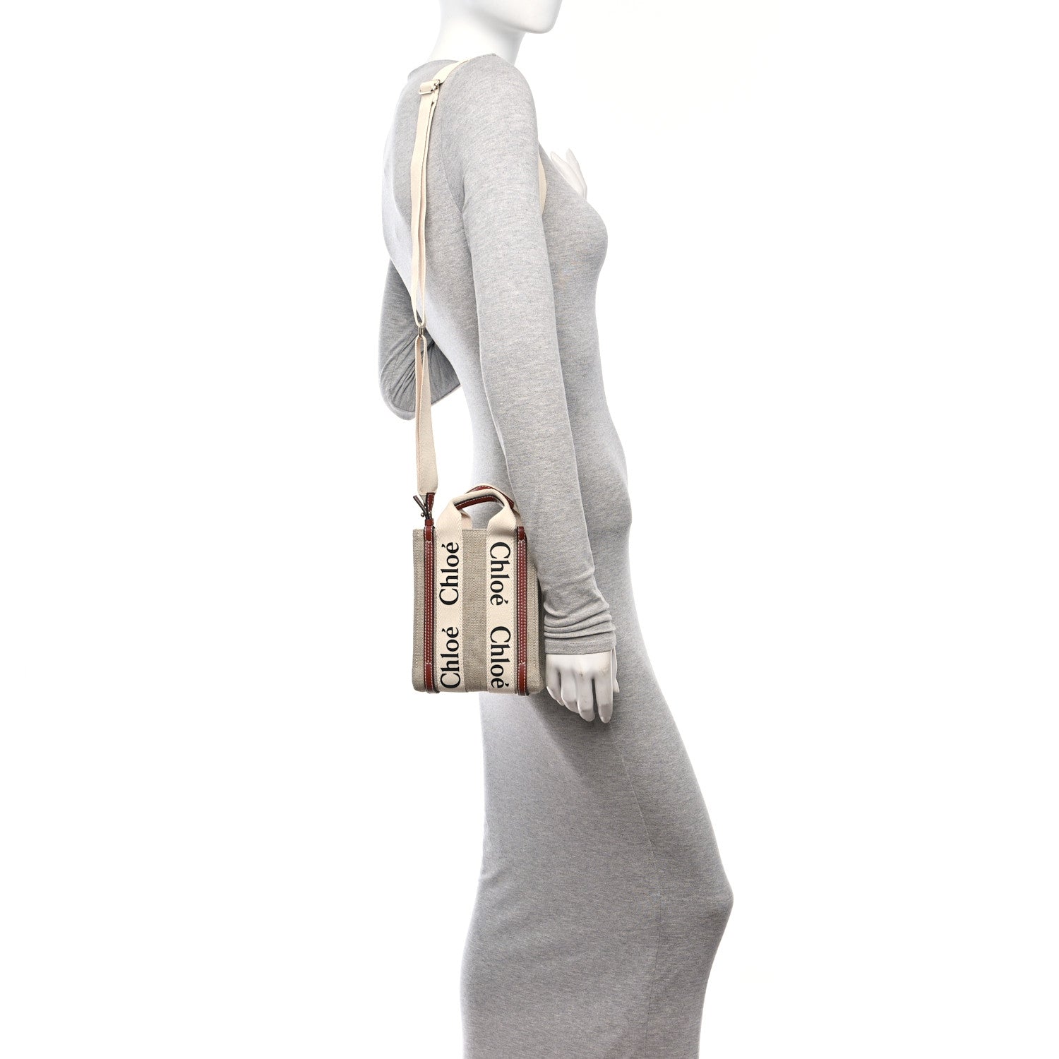 Chloe Cotton Calfskin Mini Woody North South Ribbon Tote White Brown 2 of 10