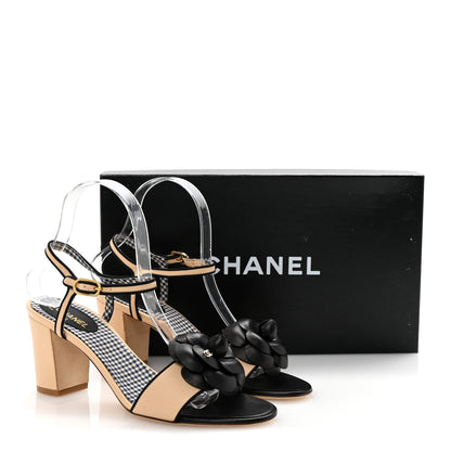 Chanel Lambskin Camellia Sandals 38 Beige Black 9 of 9