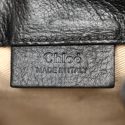 Chloe Suede Calfskin Mini Faye Backpack Black 5 of 11