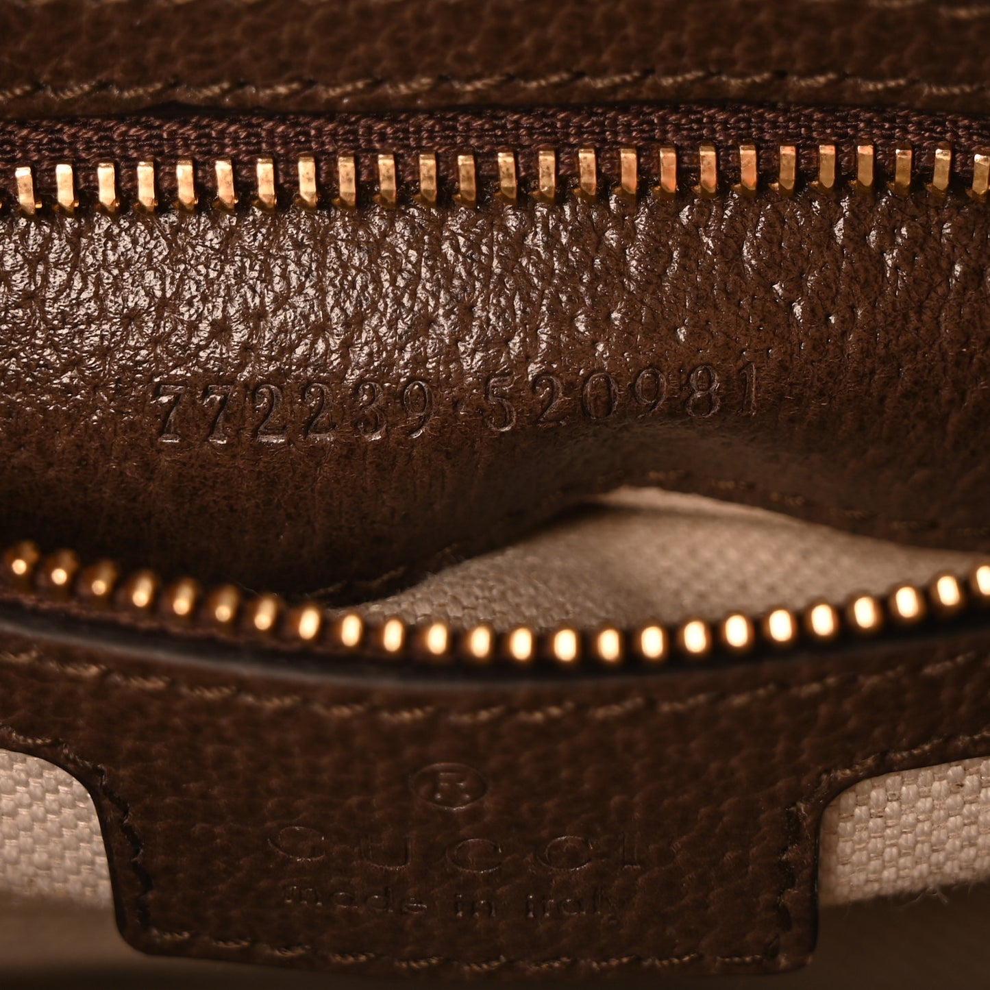 GG Supreme Monogram Textured Dollar Calfskin Mini Ophidia Flap Shoulder Bag Beige Ebony New Acero