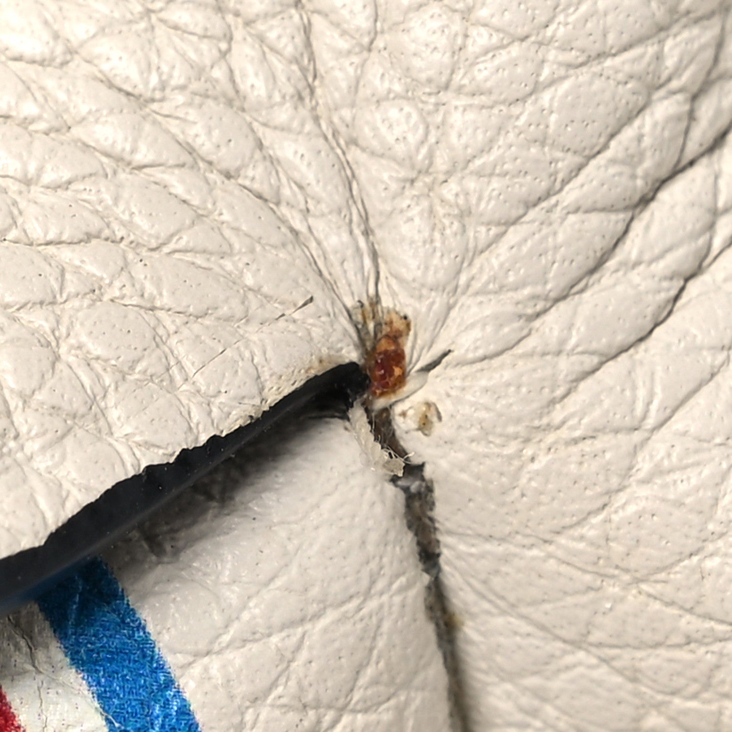 Loewe Calfskin 22 Mini Elephant Crossbody Bag Soft White Red 11 of 11
