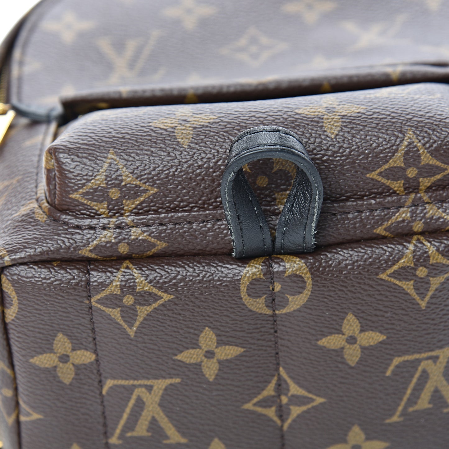 Monogram Palm Springs Backpack Mini