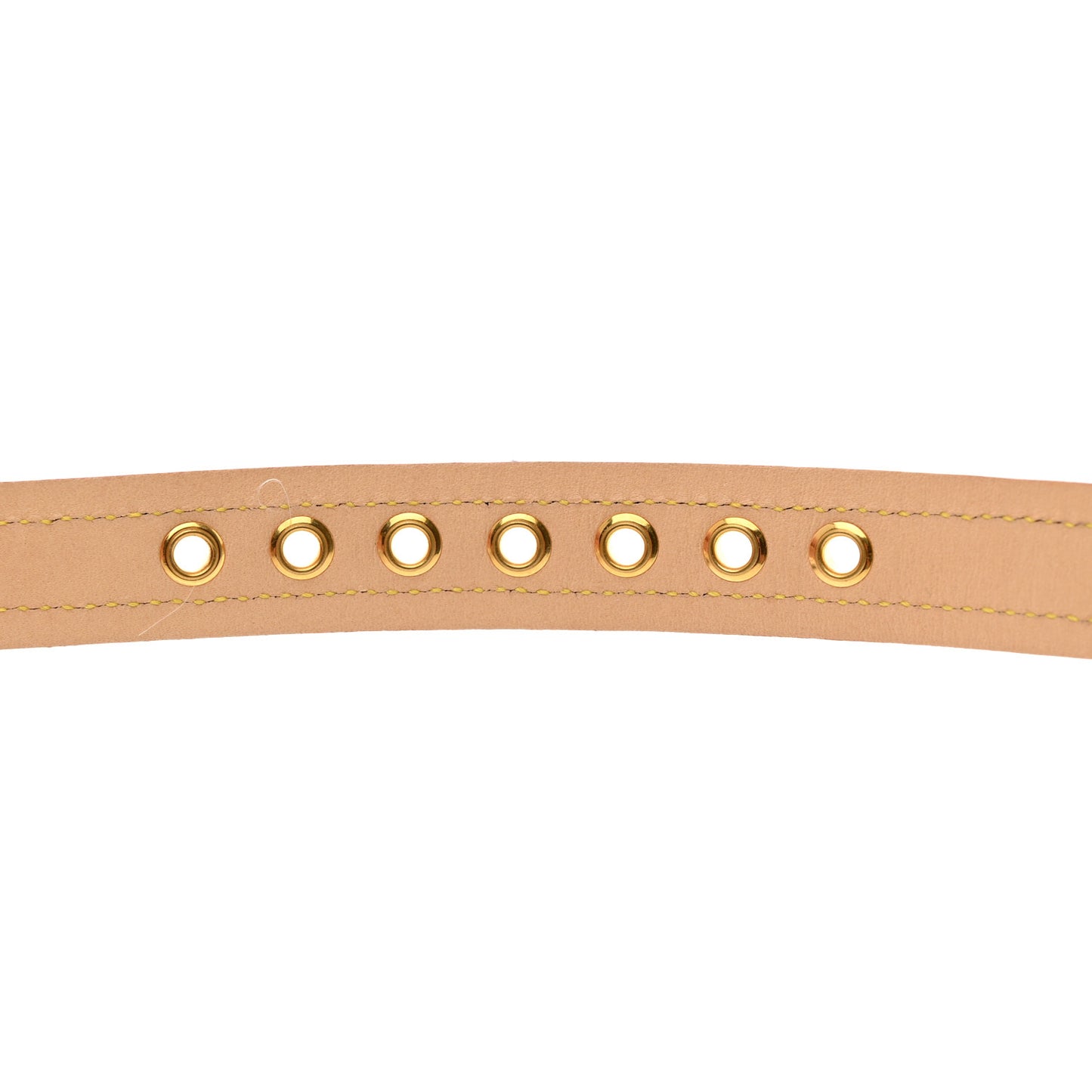 Monogram Baxter Dog Collar MM