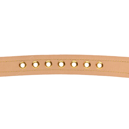 Louis Vuitton Monogram Baxter Dog Collar MM 3 of 8