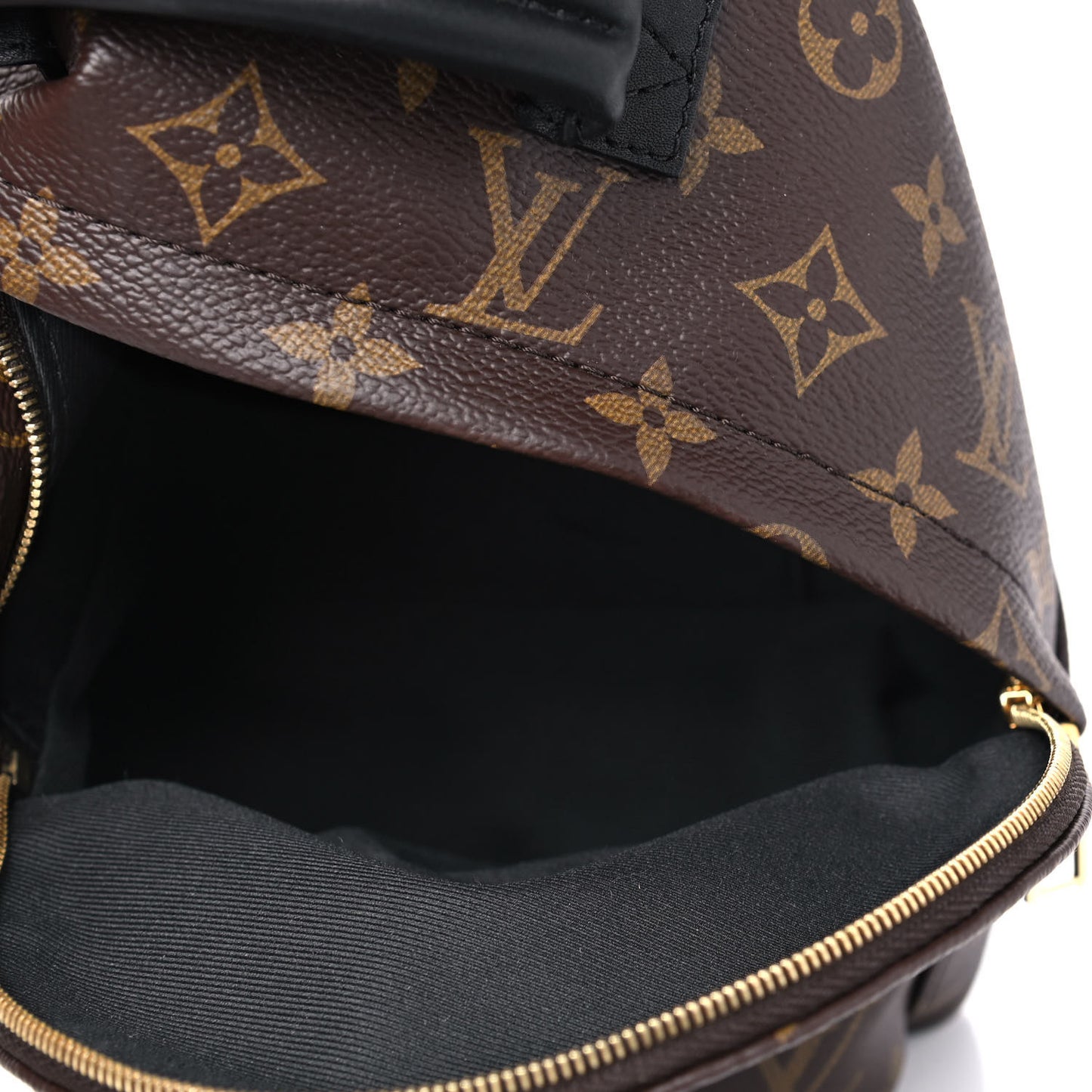 Monogram Palm Springs Backpack Mini