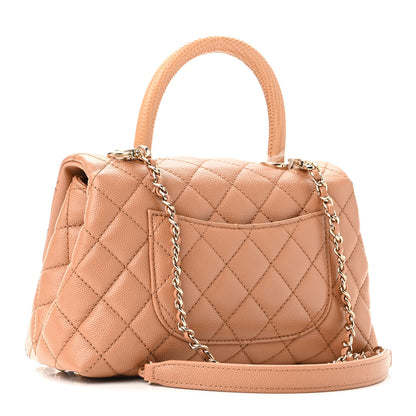 Chanel Caviar Quilted Lizard Embossed Mini Coco Handle Flap Brown 3 of 10