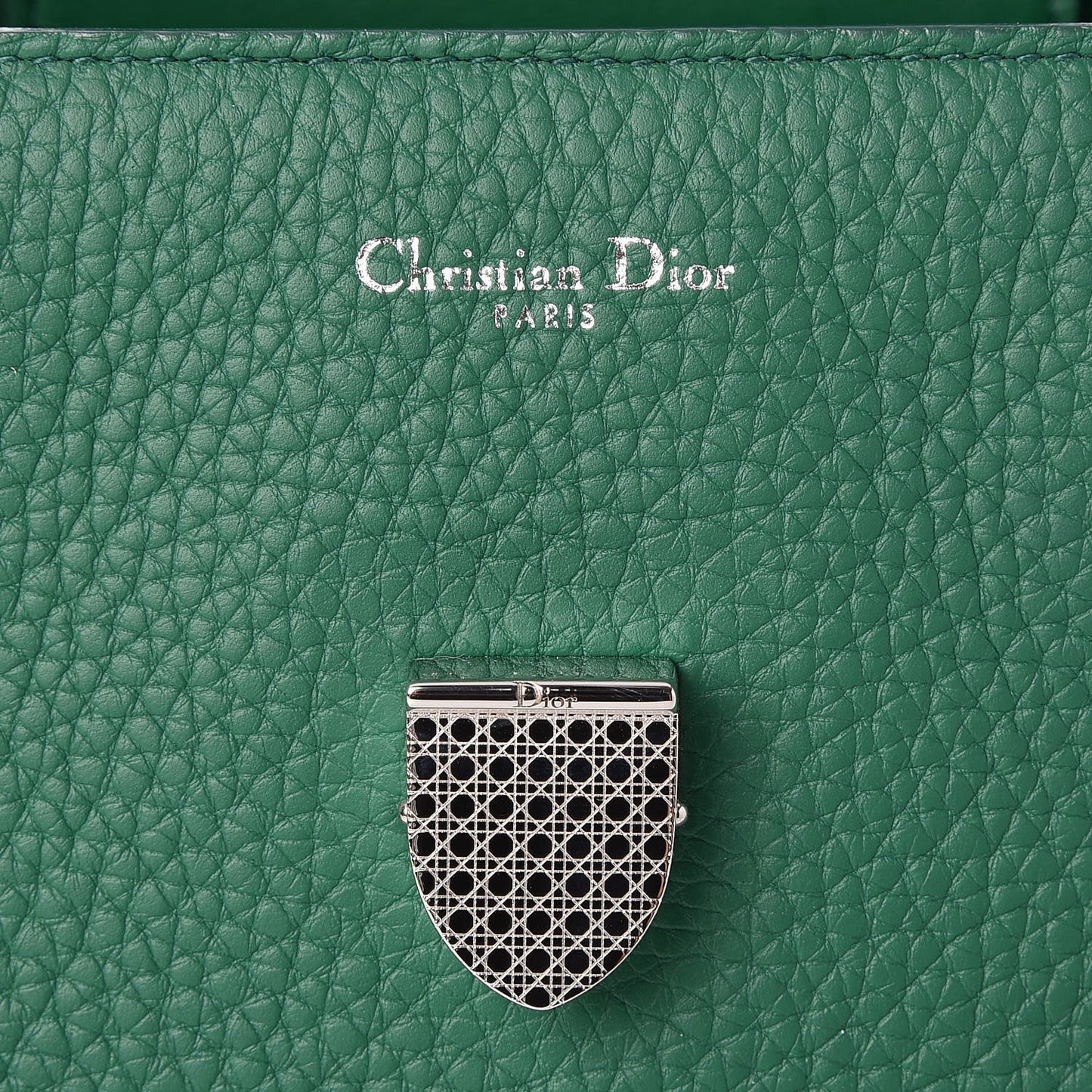 Bullcalf Large Diorever Flap Green