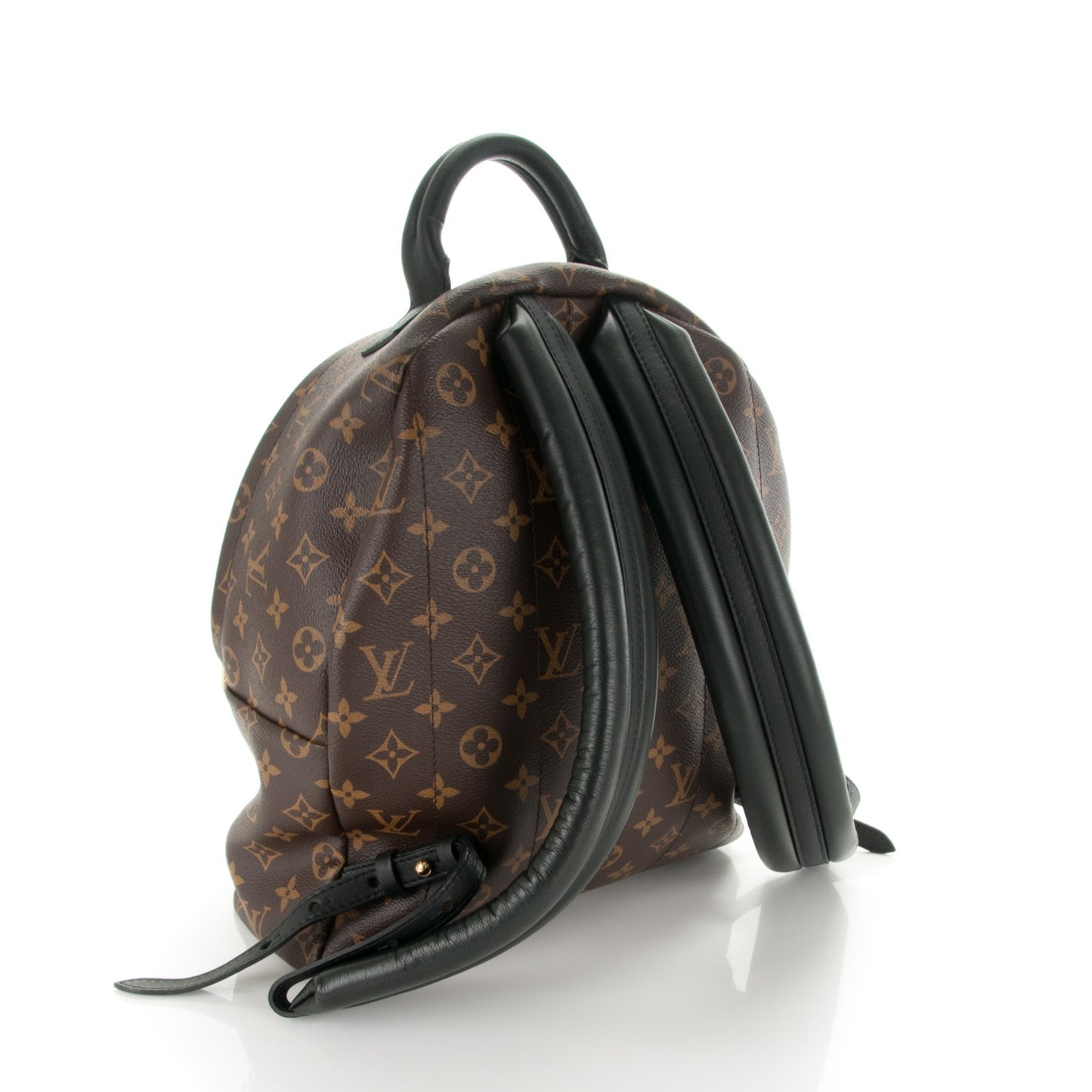 Monogram Palm Springs Backpack MM