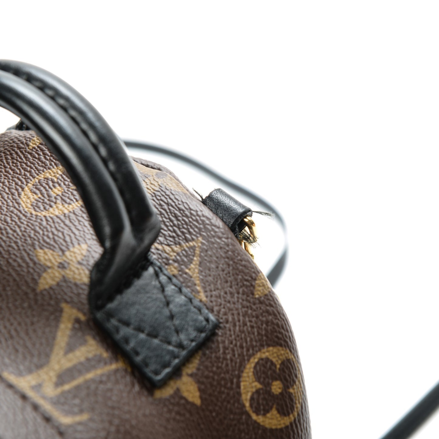 Monogram Palm Springs Backpack Mini