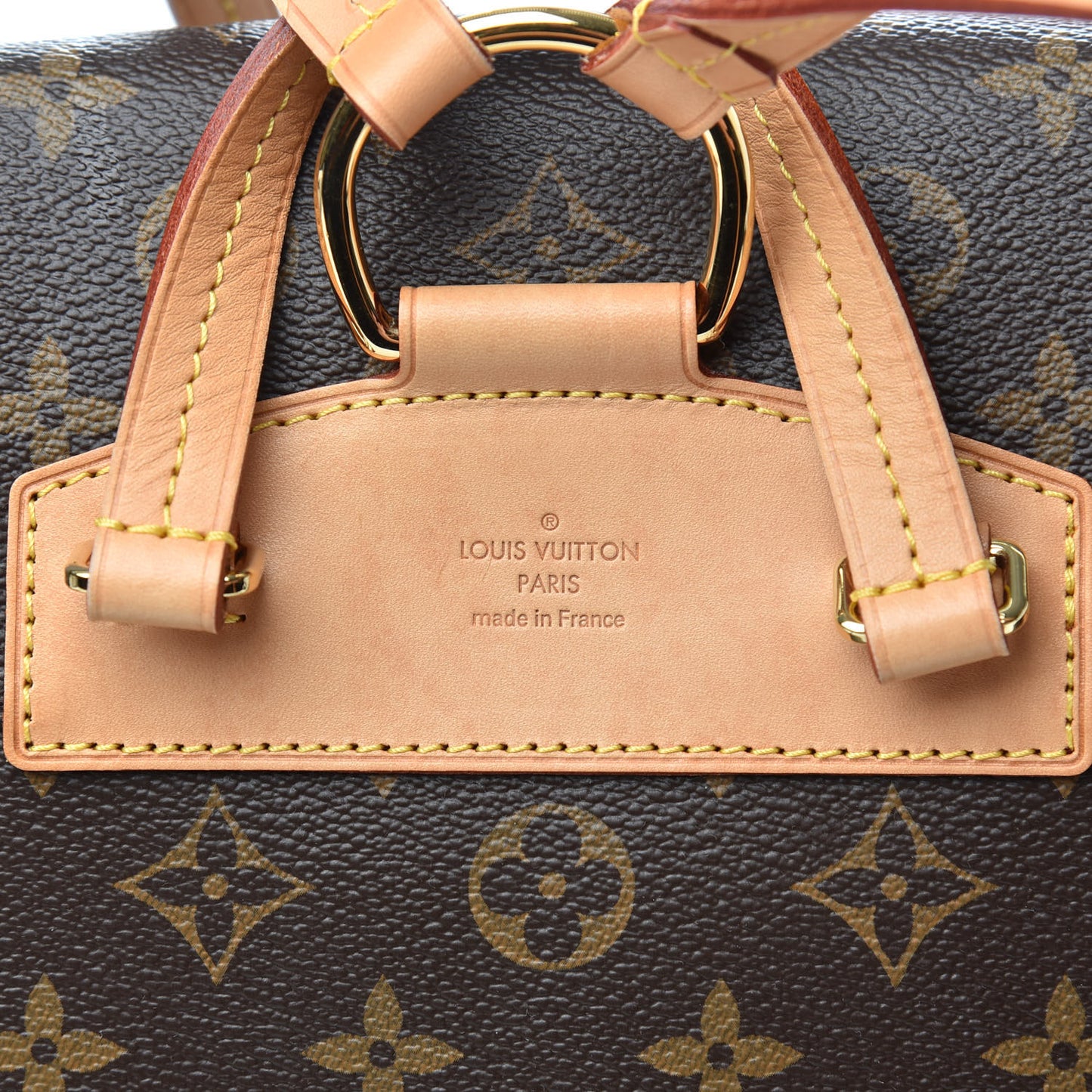 Monogram Montsouris NM Backpack