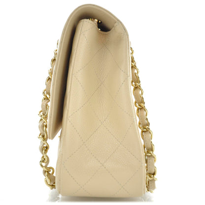 Chanel Caviar Jumbo Single Flap Beige 4 of 12